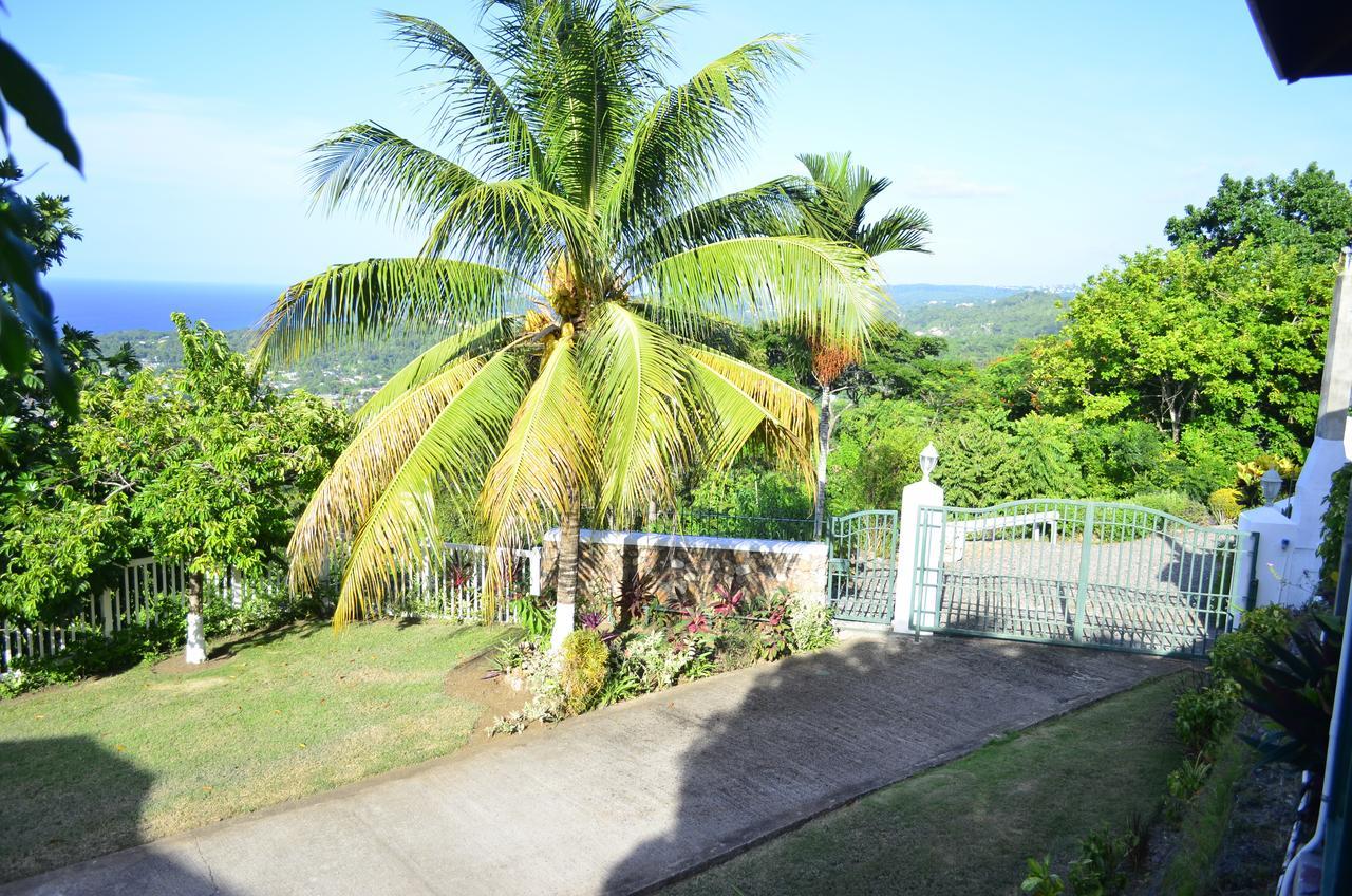 Pink Rock Inn Bed And Breakfast Ocho Rios Dış mekan fotoğraf